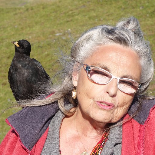 RUFINETTEJAMET's profile picture. propose  CONFERENCE DANS VOTRE REGION sur l'éthique du vieillissement  : NE ME VOLEZ PAS MA MORT 
 "FIN DE VIE DIGNE LIBRE NE PAS ME REANIMER SI ARRET CARDIAQUE