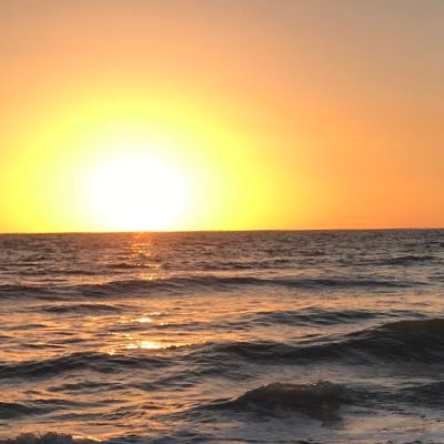 nooneyouknow872's profile picture. no