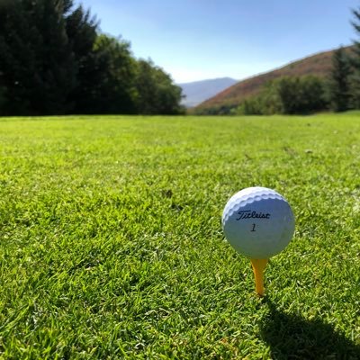 mikecito's profile picture. Nothing to see here