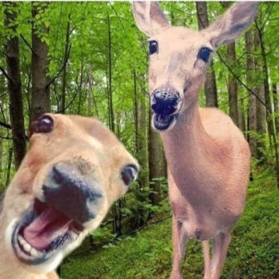 brandoooooo123's profile picture. 