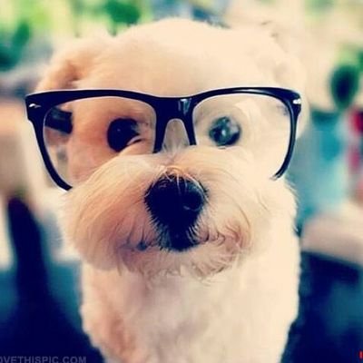 Roy49140447's profile picture. 