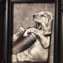 Jackie Gates - @JackieG86092522 - Twitter