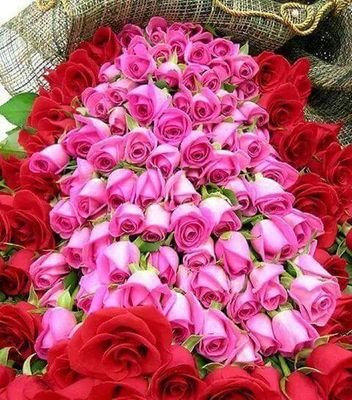 paramesh_r5's profile picture. 