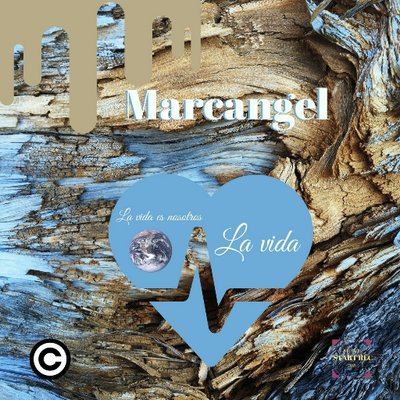 MusicMarcangel's profile picture. 