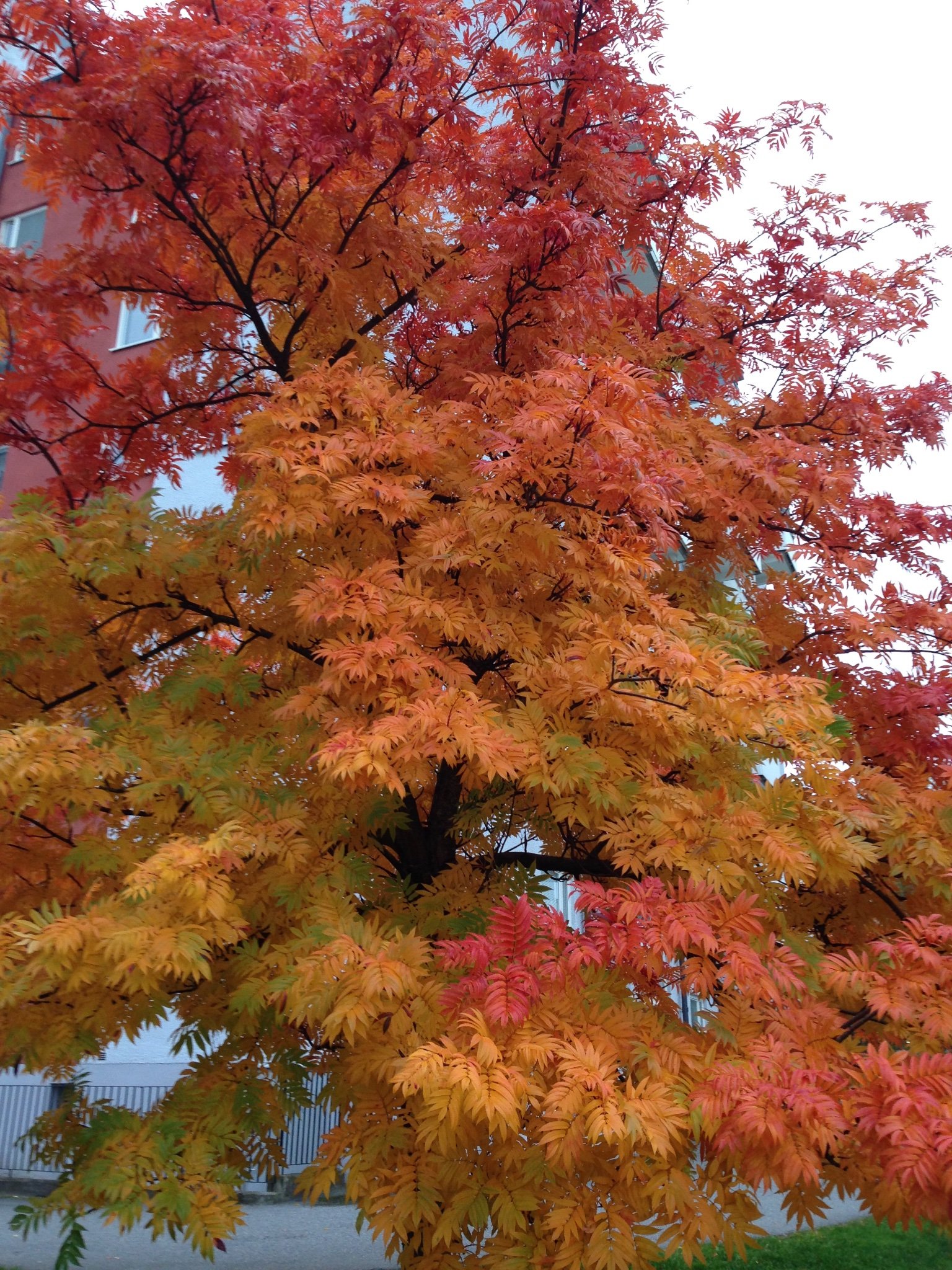 L_Mathier's profile picture. 