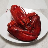 HellsBells (@hells_bells_18) 's Twitter Profile