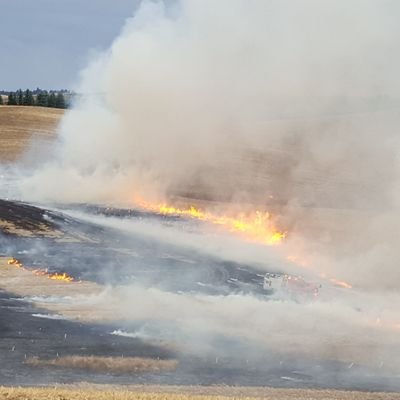 bombero_mike's profile picture. Wildland firefighter @uidaho fire management grad. Sports fanatic, @Lions. #braintumor survivor and husband of @elizabeth_rudd