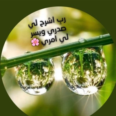 بعد رحيلي لا تغلقو افواه الدعاء عندها سأكون في أمس الحاجة لدعواتكم 🕊. قائدة لمسيرة خدمة القرآن ماأحياني الله ♥️