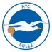 NYCGulls (@GullsNyc) Twitter profile photo