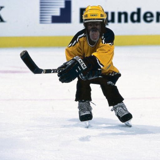 KetchTime's profile picture. Steve Tasker Certified Buffalo Bills Fan. My favorite Sabres player of all-time is Taro Tsujimoto.