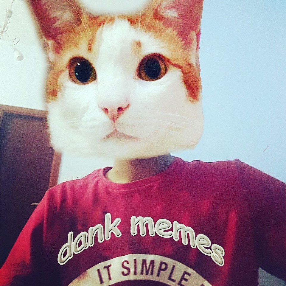 _NekOtoko_'s profile picture. i open this whenever im delirious ngl
if you want manga recommendations: https://t.co/9TagsfpF99