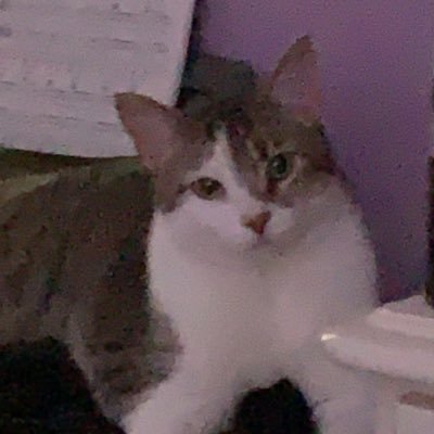 Magical_Pride_'s profile picture. Weird Gamer Girl | Lesbian | Artist