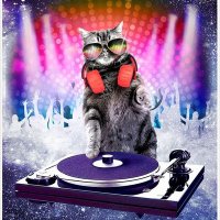 DJ Chocolate Milk (@djchocolatemlk) Twitter profile photo