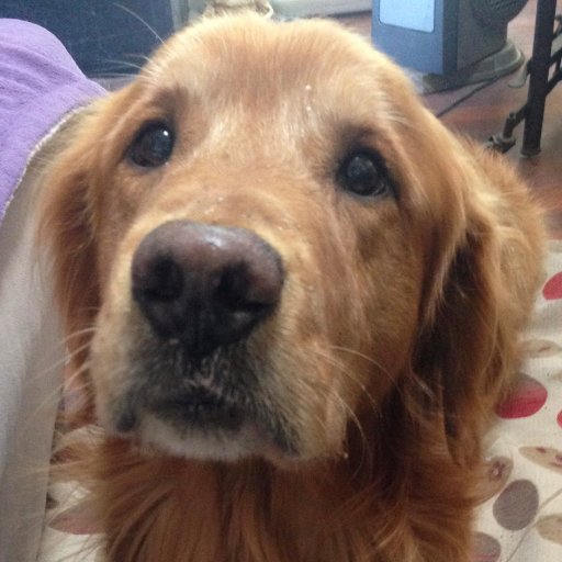 RBMissWilliams's profile picture. 1st grade teacher in Santa Maria, CA