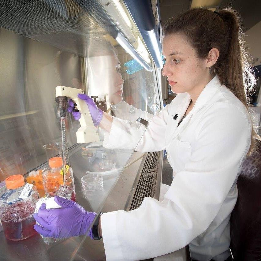 BMSSO1's profile picture. 