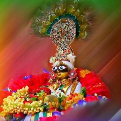 kalpesh587's profile picture. 