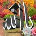 وردة.. (@rtmb2wtmyixgswb) 's Twitter Profile