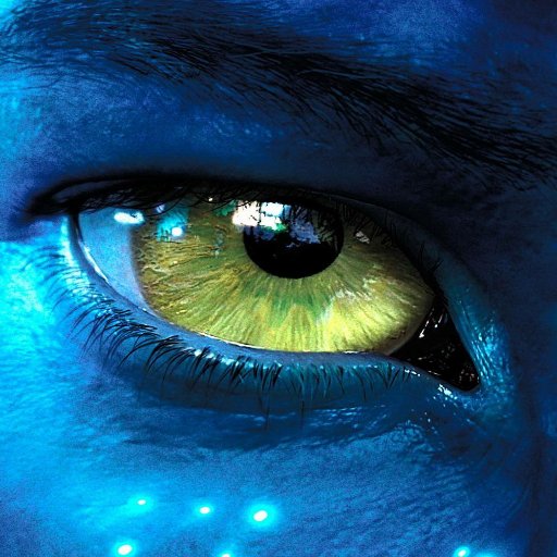 dariel_dnunez's profile picture. 