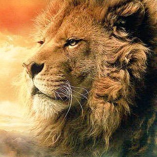 Carter05758444's profile picture. قروب : #اسياد_الترند  ، لرفع التاقات, بادارة ⁦@1M9M1  , #منصور_اسد_اسياد_الترند