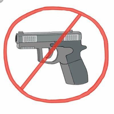 guncontrol854's profile picture. Civic Engagement Project by Paige Preston for gun control