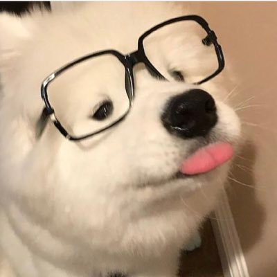 犬メガネ Kdsu221 Twitter