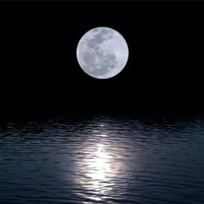 REMAXGALAXY's profile picture. 