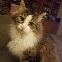 KATHY Duncan (@kcfrmva) Twitter profile photo
