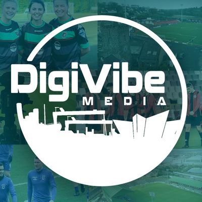 DigiVibe Media