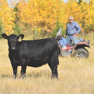 ktlindback's profile picture. Iowa State University