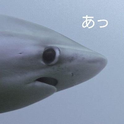 AkigRさんのプロフィール画像
