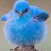 Dianne Boyd (@happybluebird35) Twitter profile photo Dianne Boyd (@happybluebird35) Twitter profile photo