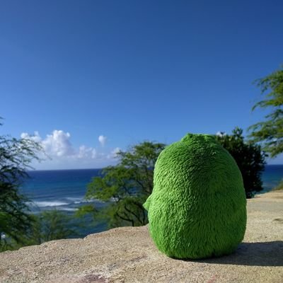 morizodisco's profile picture. 多趣味のゲーマーです
最近は釣りと筋トレにハマってます🎣