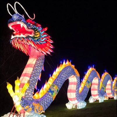 poppingit198's profile picture. 