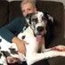 Stephanie whitcomb (@stephaniewhitc2) Twitter profile photo Stephanie whitcomb (@stephaniewhitc2) Twitter profile photo