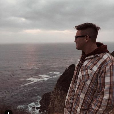 therealwolfcola's profile picture. I only joined Twitter to follow @_Brendonsmall Check out my band @pineandorpalm