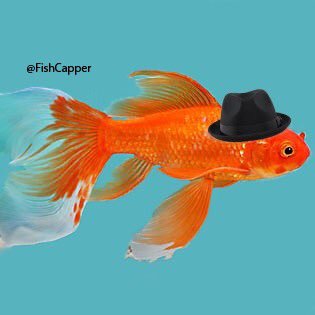 FishCapper