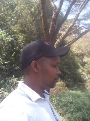 LSamwel's profile picture. Real estate agency for plots, land and ranches.