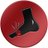 TheBunionPaper's profile image