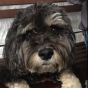 JoeyCamp - @JoeyCamp18 - Twitter