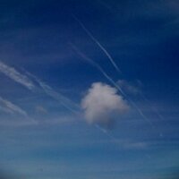 virginie pringuet (@gondolakit) 's Twitter Profile