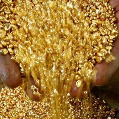 Jewel28881033's profile picture. 