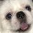 petsitterHAPPY