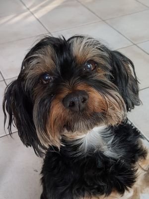 Guy15297032's profile picture. 