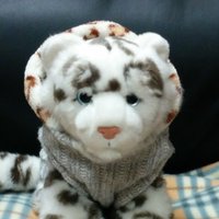 ばんとらいん (@chutaro1214) 's Twitter Profile