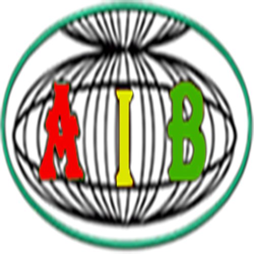 AIB Burkina