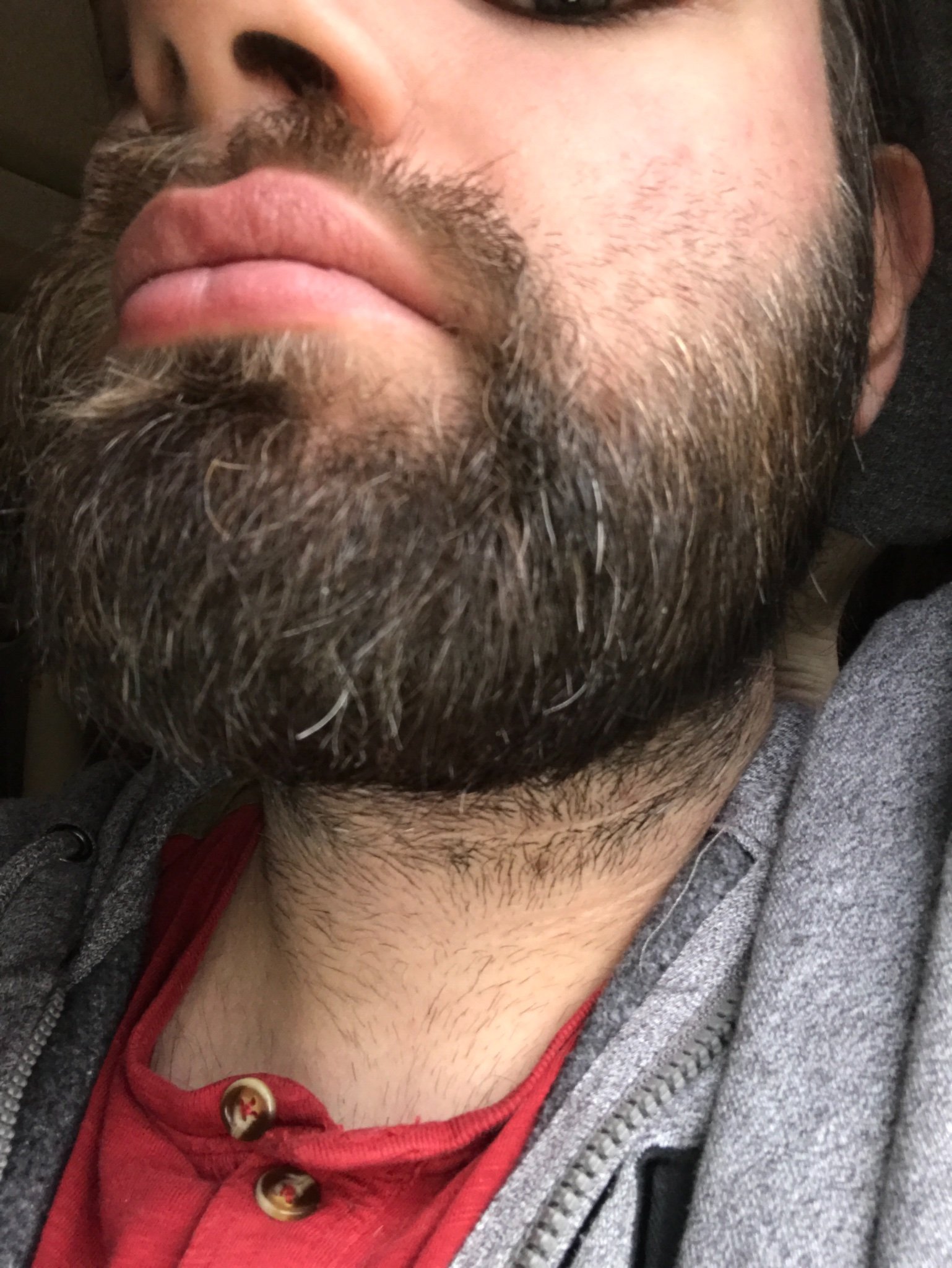 BoronMarc's profile picture. Ours gentil🐻, distributeur de bisous et de bienveillance