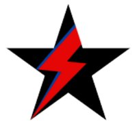 The Bowie Bible - @BowieBible Twitter Profile Photo