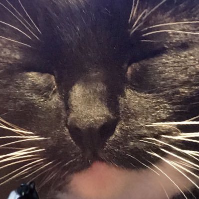 Elliot6201's profile picture. 