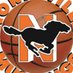 Northville Girls Basketball (@nvillehoops) Twitter profile photo