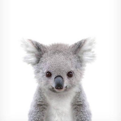 LaneJude's profile picture. Dance. Grow things. Try not to be a dick.